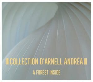 Collection d'Arnell-Andréa has an all new album out next week: 'A Forest Inside'